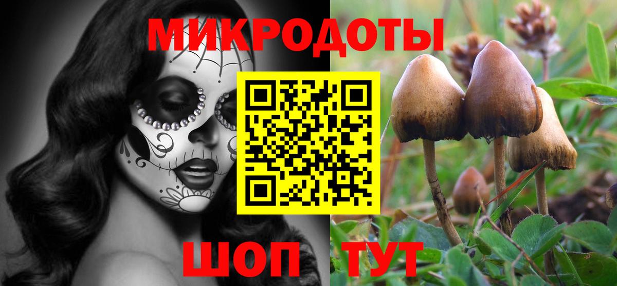 Псилоцибиновые грибы прущие грибы Керчь
